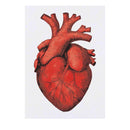 Azeeda 'Human Heart' Temporary Tattoo - Water Resistant, Skin-Safe, Non-Toxic Transfer (TO00078785)