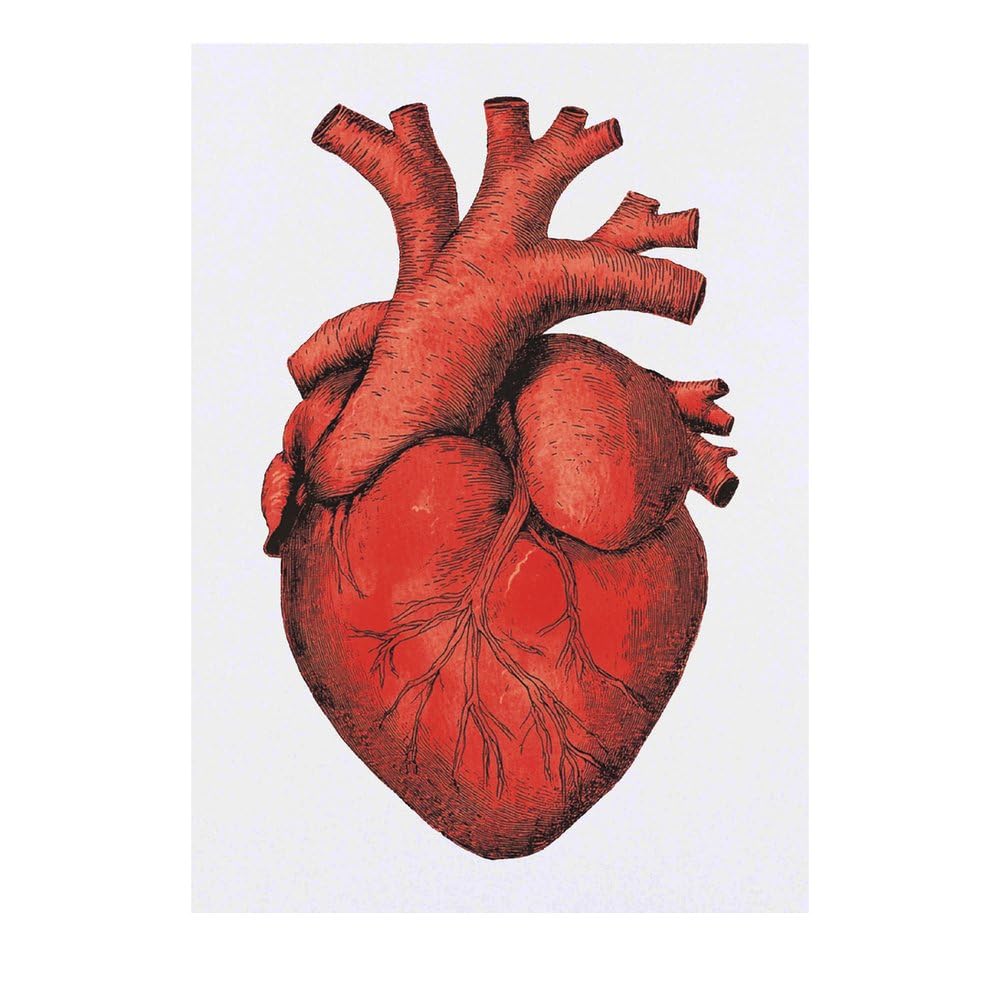 Azeeda 'Human Heart' Temporary Tattoo - Water Resistant, Skin-Safe, Non-Toxic Transfer (TO00078785)