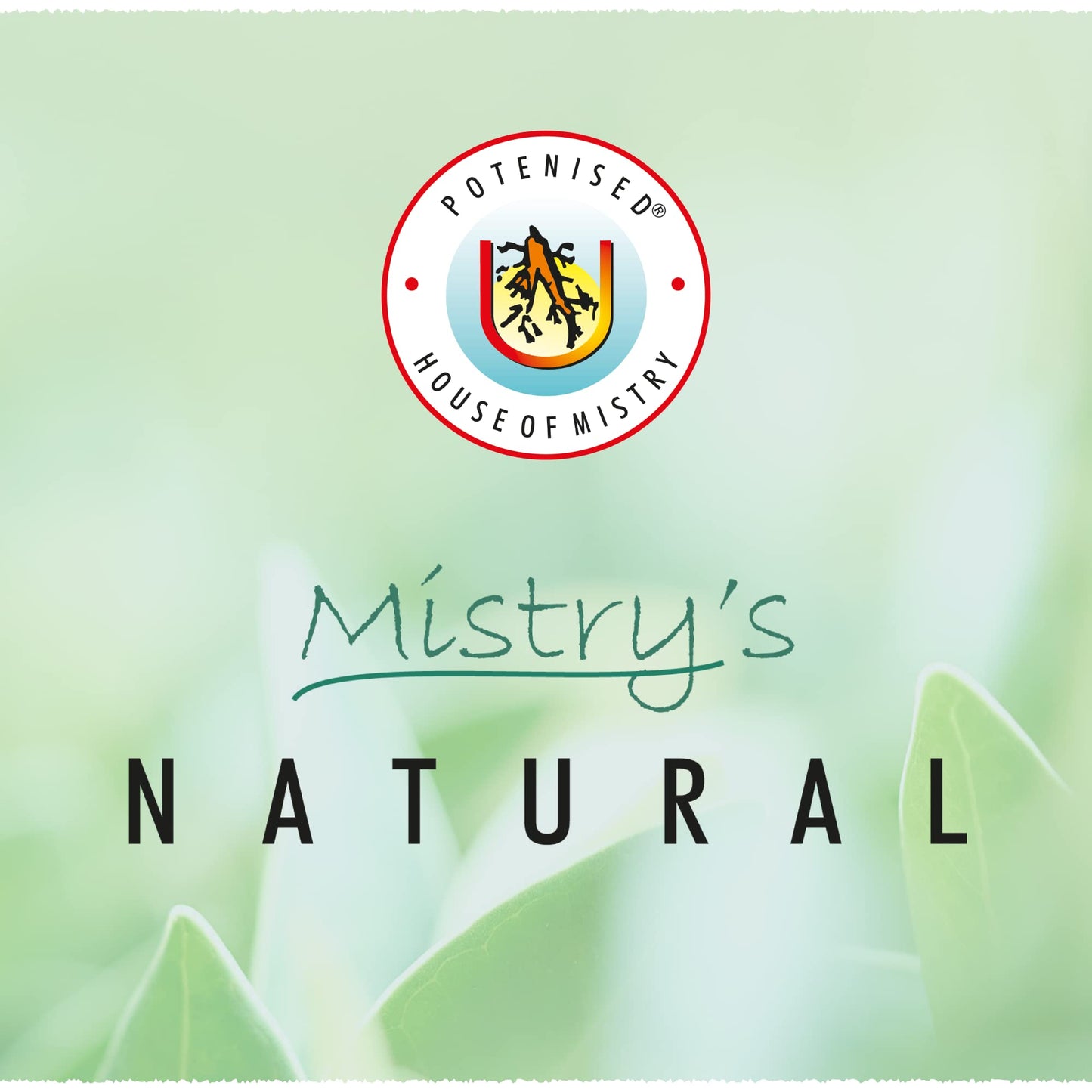 Mistry's Herbal Vitamin Iron Tonic, 300ml - Natural & Organic Immune Booster and Overall Health Support - Suitable for All Ages - Additive Free, Vegan