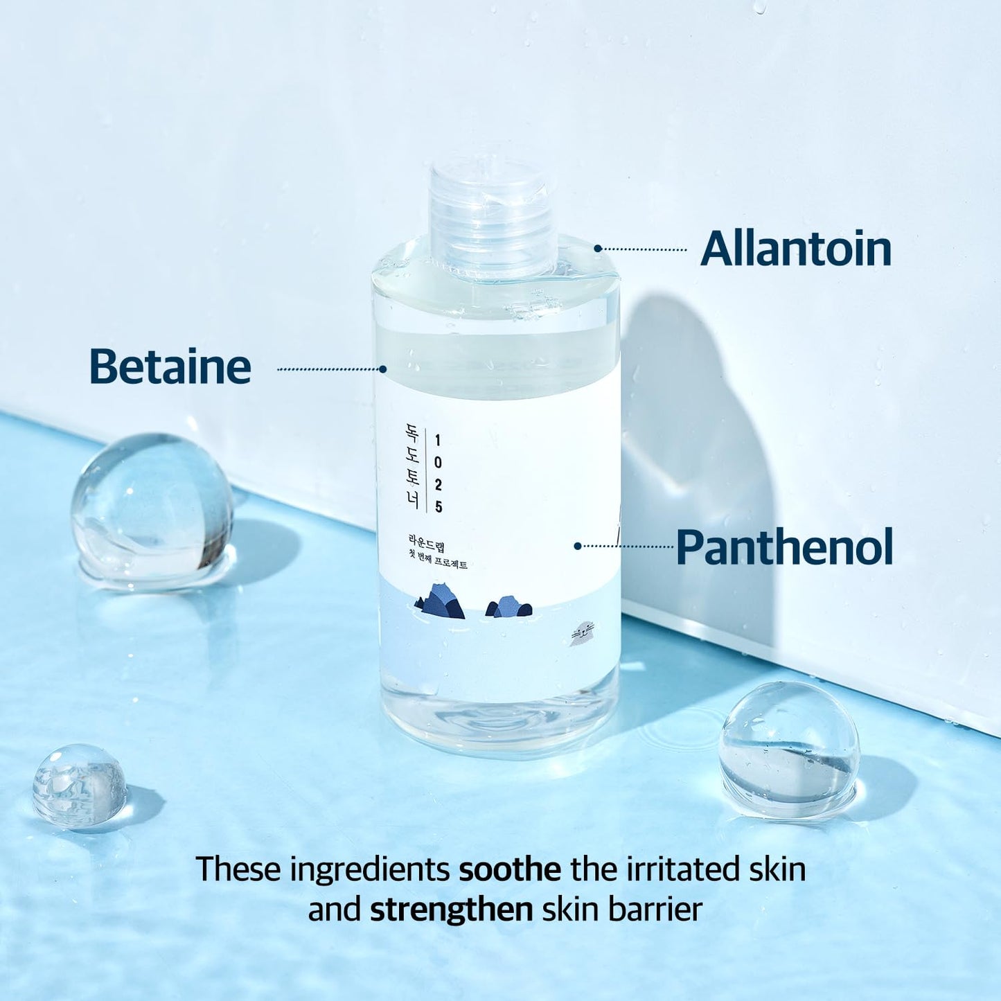 ROUND LAB 1025 Dokdo Toner (100ml), Oil Control and Reduces Excess Sebum, Gentle Exfoliating Facial Toner, Deep Sea Water for Moisturization, Soft Finish Without Stickiness, Korean Skin Care