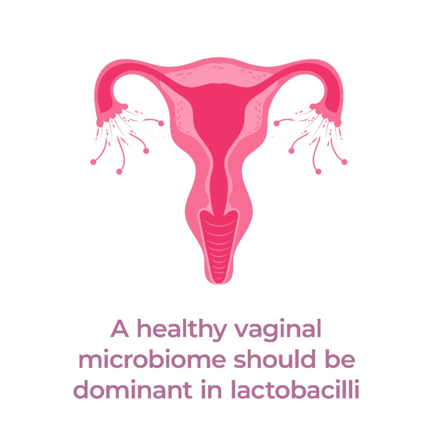 PrecisionBiotics Daily Women's Flora - Probiotics for Women - with Unique Astarte and LA-5 Bacterial Culture Strains - 30 Oral Capsules