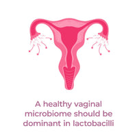 PrecisionBiotics Daily Women's Flora - Probiotics for Women - with Unique Astarte and LA-5 Bacterial Culture Strains - 30 Oral Capsules