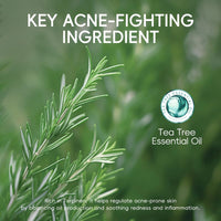 LAIKOU Tea Tree Skincare Set , Anti-Acne Face Care Kit with Cleanser, Toner, Serum, Spot Gel, Cream, Mud Mask & Pimple Patches, Oil Control & Soothing for Teenage Girls, Women & All Skin Types