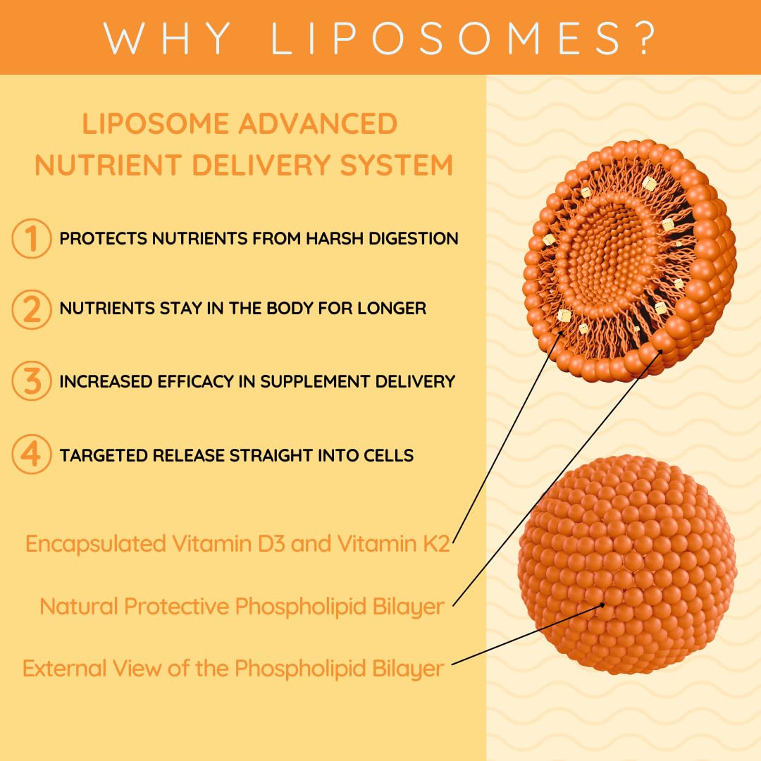 WELL ACTUALLY Liposomal Vitamin D3 + K2 Liquid Pipette - High Absorption Vegan Vitamin D3 4000 IU & Vitamin K2-7 160mcg as Menaquinone-7 MK-7 - Orange & Mango (up to 120 Servings)