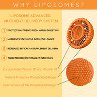 WELL ACTUALLY Liposomal Vitamin D3 + K2 Liquid Pipette - High Absorption Vegan Vitamin D3 4000 IU & Vitamin K2-7 160mcg as Menaquinone-7 MK-7 - Orange & Mango (up to 120 Servings)