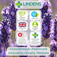 Lindens - 5 HTP 400mg, 60 Tablets - 1-A-Day, UK Made - 50mg Griffonia Simplicifolia Seed Extract 8:1, with Vitamin B5 - Mental Performance - Letterbox Friendly, Vegan