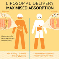 WELL ACTUALLY Liposomal Vitamin D3 + K2 Liquid Pipette - High Absorption Vegan Vitamin D3 4000 IU & Vitamin K2-7 160mcg as Menaquinone-7 MK-7 - Orange & Mango (up to 120 Servings)