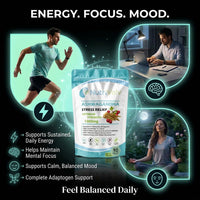 NutriVolv Ashwagandha 1000mg – 90 Vegan Tablets | High Strength Extract | Adaptogen for Stress, Anxiety & Fatigue Relief | Supports Energy, Focus, Mood, Sleep & Hormonal Balance | Ayurvedic Supplement