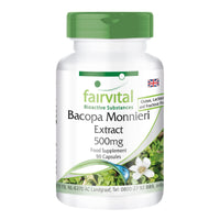 fairvital Fairvital | Bacopa Monnieri Extract 500mg, Brahmi, Vegan, Without Magnesium Stearate, 90 bacopa Capsules