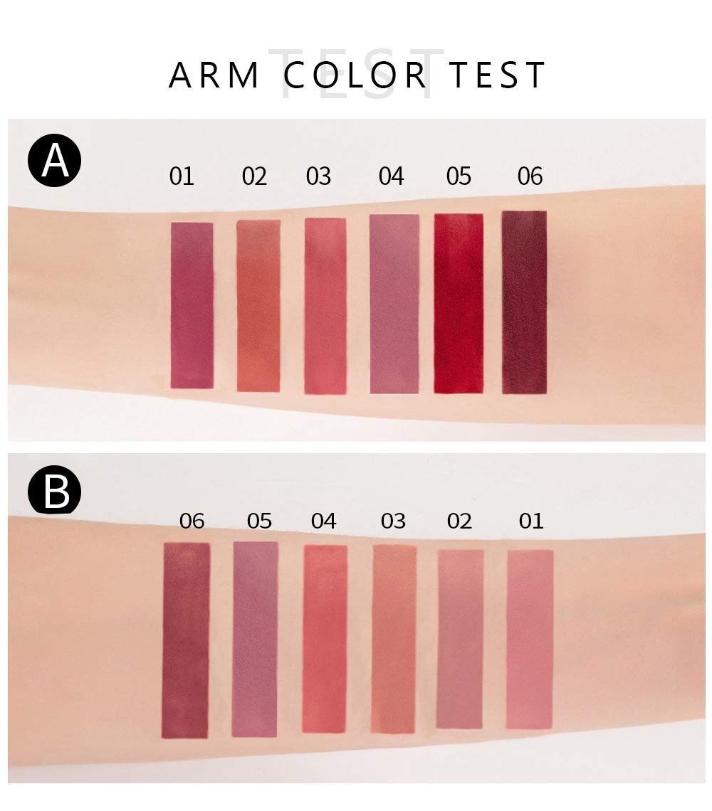 HQDA 6 Pcs Matte Liquid Lipstick Set Nude Lip Gloss Non-Stick Cup Not Fade Waterproof Long Lasting Lip Sticks Gift For Make Up Women (Set B)