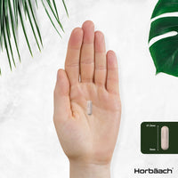 Organic Ashwagandha KSM-66 1200mg | 120 Count | Vegan Powder Capsule Supplement | by Horbaach