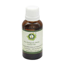 R V Essential Pure Fenugreek (Methi) Carrier Oil 30ml (1.01oz)- Trigonella Foenumgraecum (100% Pure and Natural Cold Pressed)