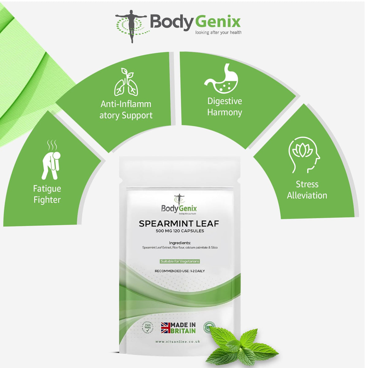 Bodygenix Spearmint Leaf Capsules - 500mg Hormonal Balance Digestive Health Fatigue & Stress Relief Support Antioxidant Formula Natural Food Supplement - 120 Capsules 4 Month Supply
