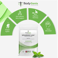 Bodygenix Spearmint Leaf Capsules - 500mg Hormonal Balance Digestive Health Fatigue & Stress Relief Support Antioxidant Formula Natural Food Supplement - 120 Capsules 4 Month Supply