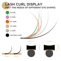 LASHVIEW Eyelash Extension,Ellipse Flat Eyelash Extensions,Individual Lashes,0.15mm D+ Curl 8-15mm,Lash Extension,Semi-Permanent,Extremely Light & Soft,Professional Salon Use.