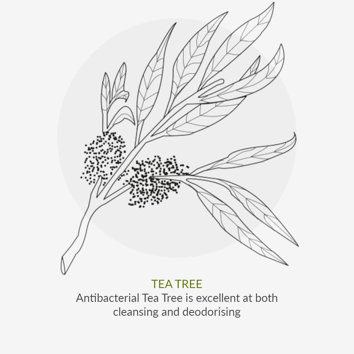 Green People Oy! My Skin Goals – Special Edition| Natural & Organic Teenage Skin Care Gift Set | Willow Bark & Tea Tree | For Pre-Teens, Tweens & Teens with Spots & Blemishes | Cruelty-Free & Vegan