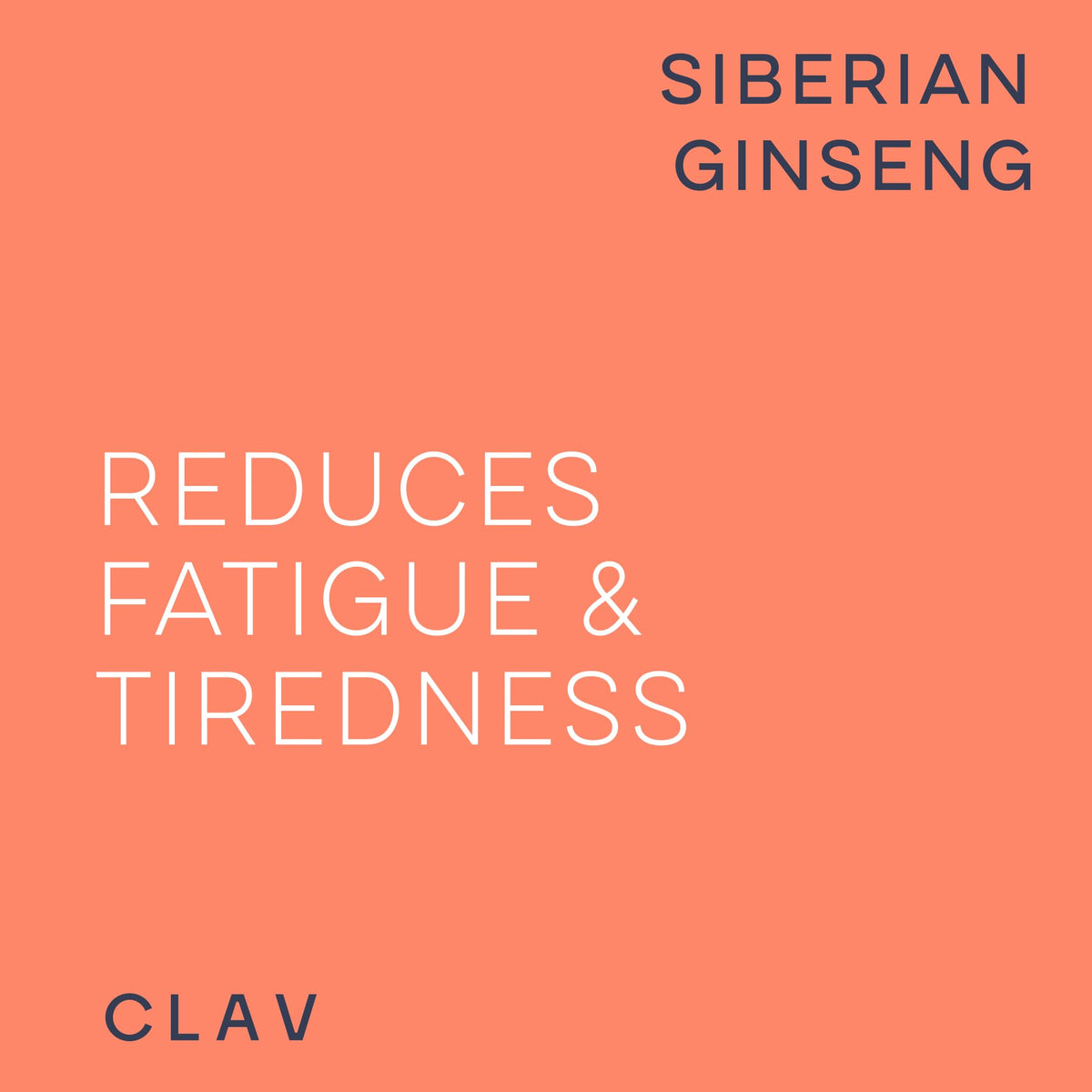 CLAV Siberian Ginseng Extract - 900mg Eleutherococcus Root Powder - Reduction of Tiredness & Fatigue - 60 Ginseng Capsules - Vegan - Made in Germany