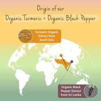 Vegavero Organic Turmeric 14620mg | Curcumin 158mg | Curcuma with Black Pepper | Piperine + Curcuminoids | NO Additives | Vegan