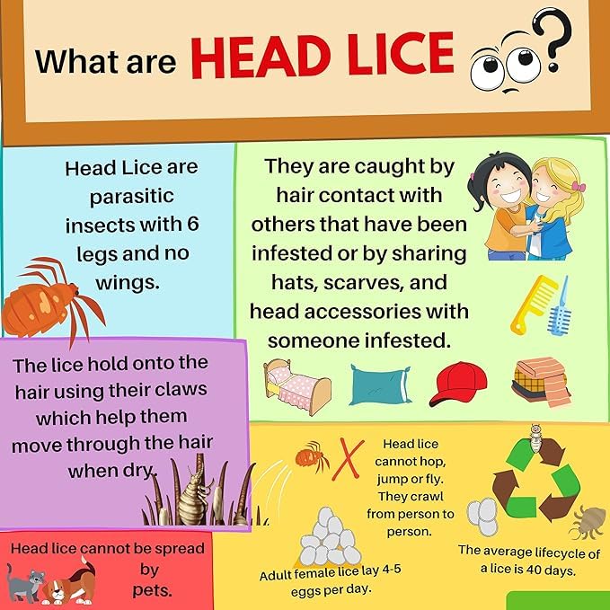 Great British Home Escenti Kids 3in1 Head Lice Prevention Set - 1 x Head Lice Shampoo for Kids, 1 x Conditioner and 1x Lice Combs - Complete and Effective Nit Treatment for Kids with Natural Tea Tree Oil