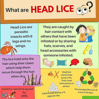 Great British Home Escenti Kids 3in1 Head Lice Prevention Set - 1 x Head Lice Shampoo for Kids, 1 x Conditioner and 1x Lice Combs - Complete and Effective Nit Treatment for Kids with Natural Tea Tree Oil