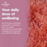 BANDINI Bandini® Pure Astaxanthin 18 mg | 270 High Strength Capsules | 9 months supply | Powerful antioxidant from Haematococcus Pluvialis algae | Astaxantine Supplement, Magnesium stearate & GMO-free | Vegan