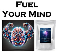 Brain Bloom Nootropic Supplement, Memory Support, Cognitive Function, Brain Health, Performance, Focus & Alertness - 90 Day Supply