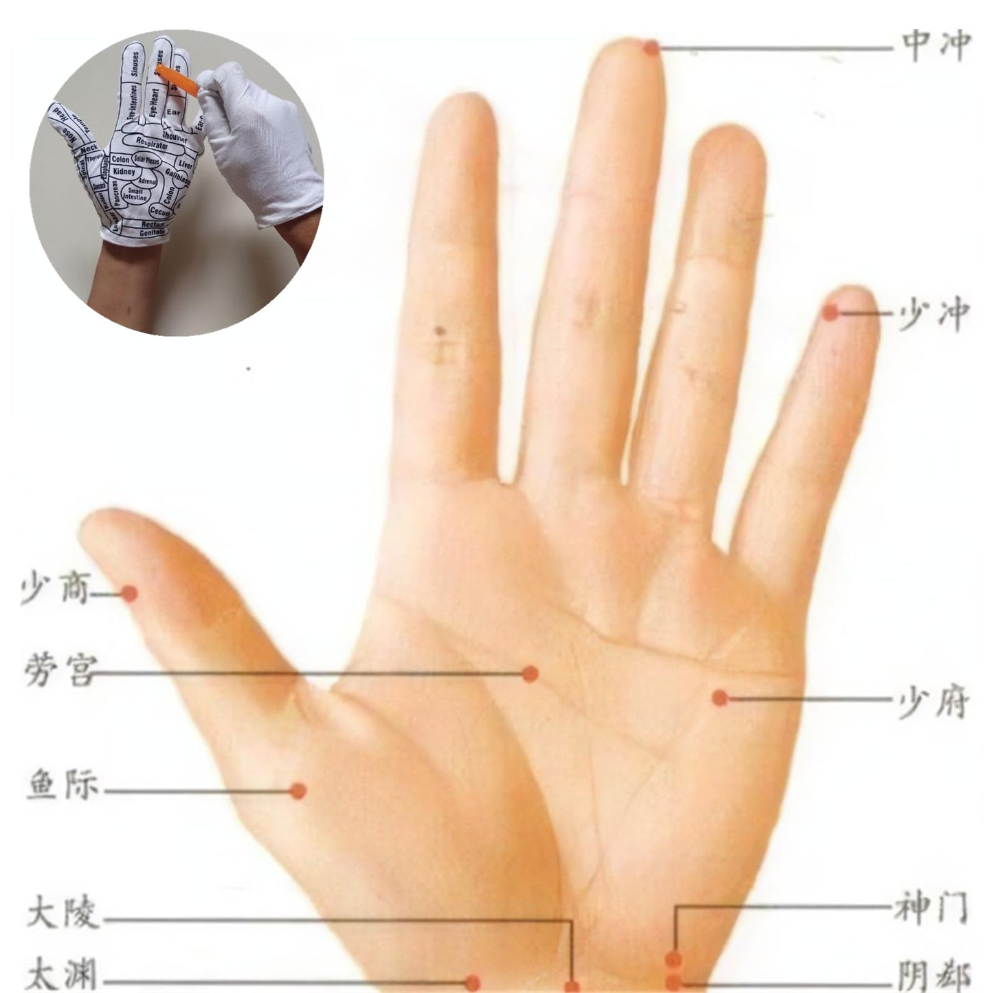 QCVENL 2 Pcs Reflexology Tools Facial Reflexology Tool Reflexology Hand Gloves Hand Reflexology Tools Print Mittens for Correctly Stimulating Hand Acupoints Massa