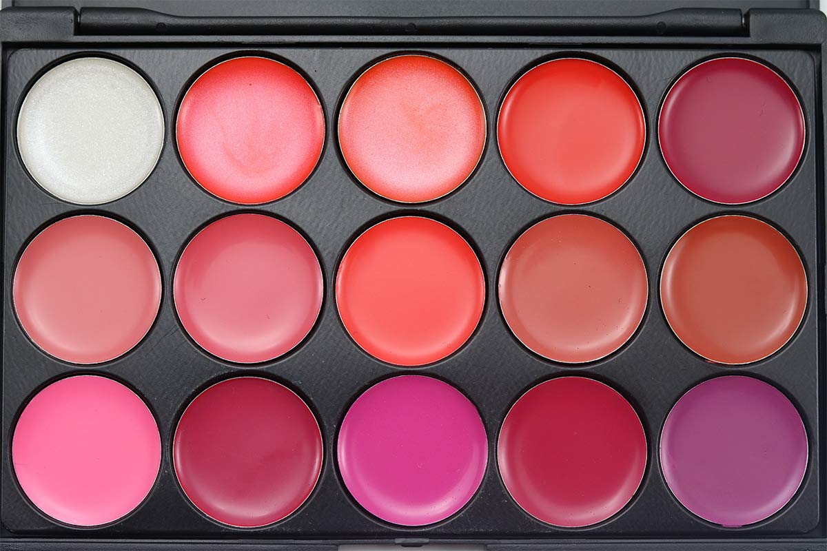 FantasyDay Pro 15 Colors Cream Lip Gloss Xmas Makeup Palette Cosmetics Contouring Kit - Ideal for Professional and Daily Use