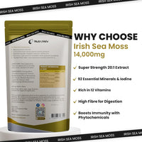 NutriVolv Irish Sea Moss, Bladderwrack & Burdock Root Complex 14,000mg | 120 High Strength Capsules Providing 120 Day Supply | North Atlantic Irish Sea Moss Supplement | No Fillers or Binders | Vegan & UK Made