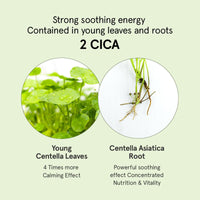 IZBEAUVO Intensive Cica Repair Cream, Centella Moisturizer Phytocin Cream Soothing Centella Asiatica Moisturizer Face, Ultra-Soothing & Hydrating Korean Care Cream for Sensitive Skin(15g/0.53oz)