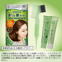 Kao Blaune Fragrant And Gloss Color Cream 5NA Deep Natural Brown