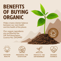Sevenhills Wholefoods Organic Pea Protein Powder 500g