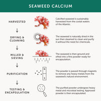 Calcium – Together Health – Seaweed-Based Calcium – 72 Trace Minerals – Vegan Friendly – Made in The UK – Pack of 4-240 Vegecaps