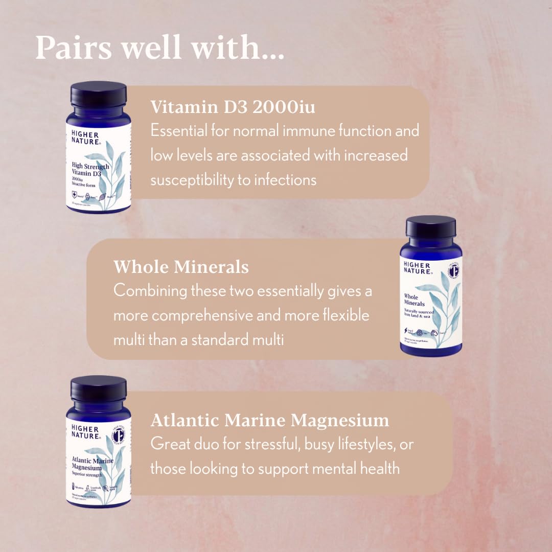 HIGHER NATURE Higher Nature - High Strength - Vitamin B Complex - Reduce Tiredness - Supports Nervous System - Vegan Friendly - 90 Capsules