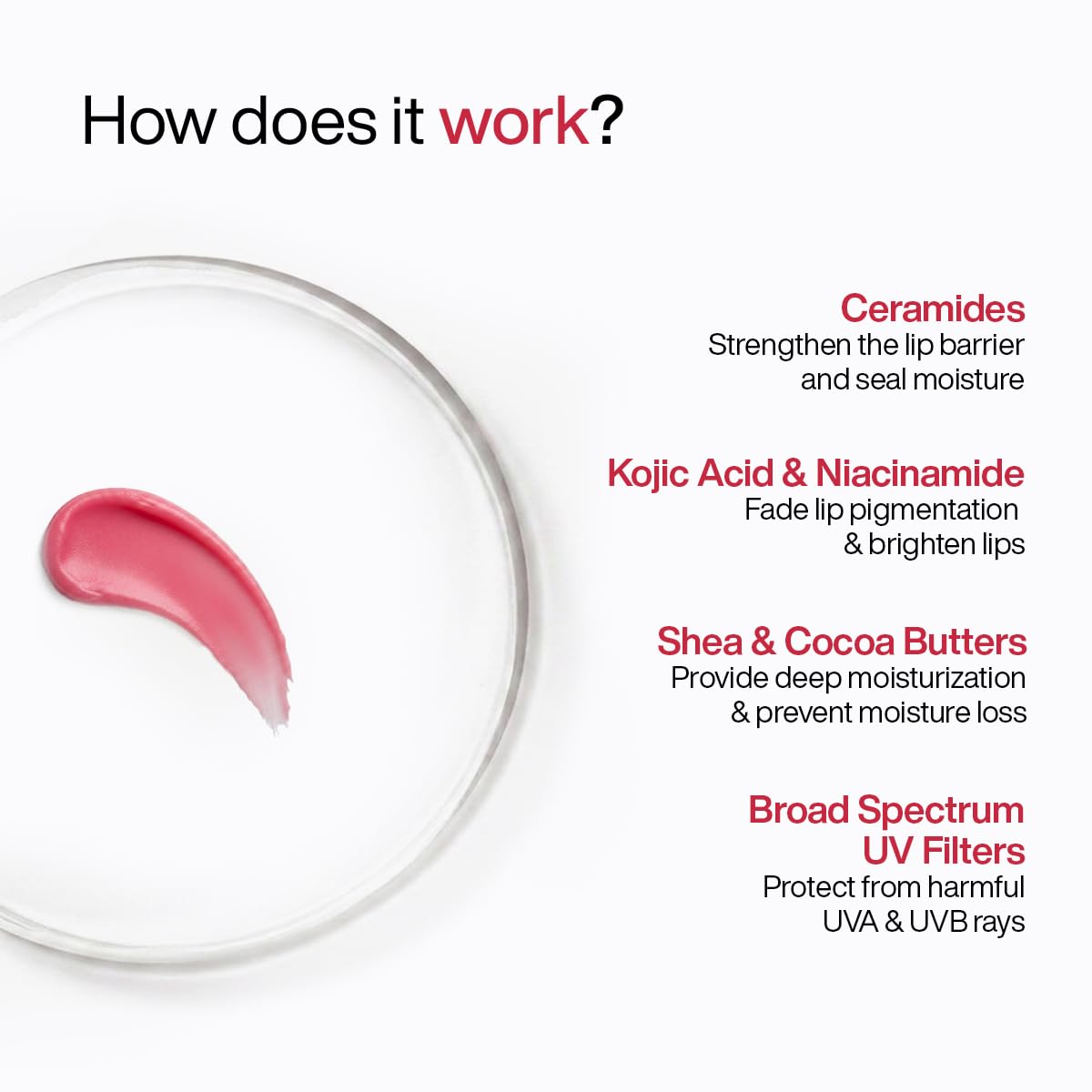 WishCare Tinted Ceramide Lip Balm with SPF50 PA+++ - Kojic Acid & Niacinamide - For Lip Lightening & Protection 5gm