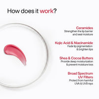 WishCare Tinted Ceramide Lip Balm with SPF50 PA+++ - Kojic Acid & Niacinamide - For Lip Lightening & Protection 5gm