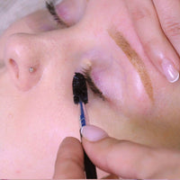 Mylee Express Lash & Brow Kit – 2 in 1 No Mix Formula, Tint + Developer Gel + Double Sided Brush, Professional Eyelash & Eyebrow Dye Tinting, Long Lasting, Semi-Permanent, Fast & Easy (Black)