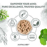 AAVALABS Ginkgo Biloba High Strength - 7500mg - 50:1 Extract - with Bacopa Monnieri, Ginseng, Vitamin B6, B1, B2, & Zinc -180 Nootropic Ginkgo Biloba Capsules - Packed with Flavonoids
