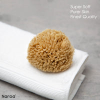Naroa NAROA Natural Baby Bath Sponge in Gift Box | Soft Sea Unbleached Sea Washcloth for Babies | Newborn Shower Time Essentials | Pregnancy Registry Boy Girl
