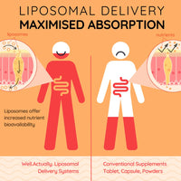 WELL ACTUALLY Liposomal Vitamin C 1000mg Sachets - High Bioavailability Liquid Vitamin C Supplement - Supports Immunity, Skin, Brain, Joints, Energy - Vegan (Packs of 5 Sachets)