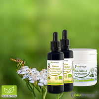 biotraxx Kidney Liver Bladder Cleanse Detox Kit - Support - Full Pack - Made in Germany by Biotraxx