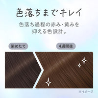 Liese Kao Tint Hair Color Gel Sheer Gray