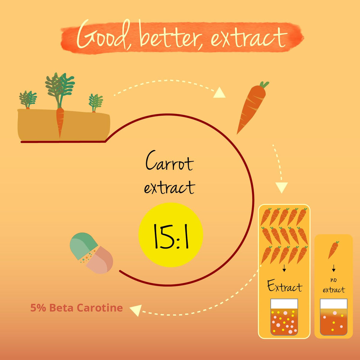 Vegavero Beta Carotene | 180 Capsules | Tan Accelerator | 100% Natural Source of Vitamin A | NO Additives, Lab-Tested | Vegan