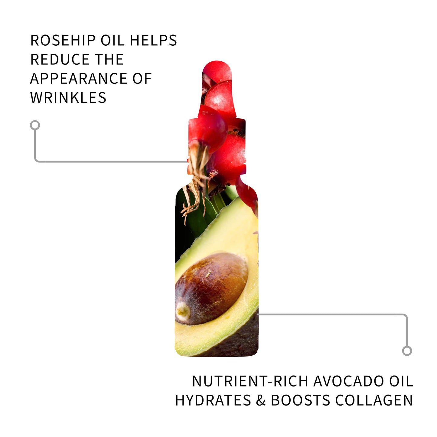 Divine Face Oil Rosehip Oil & Avocado Oil – Anti-Aging Face Oil to Address Appearance of Fine Lines & Wrinkles - 30ml