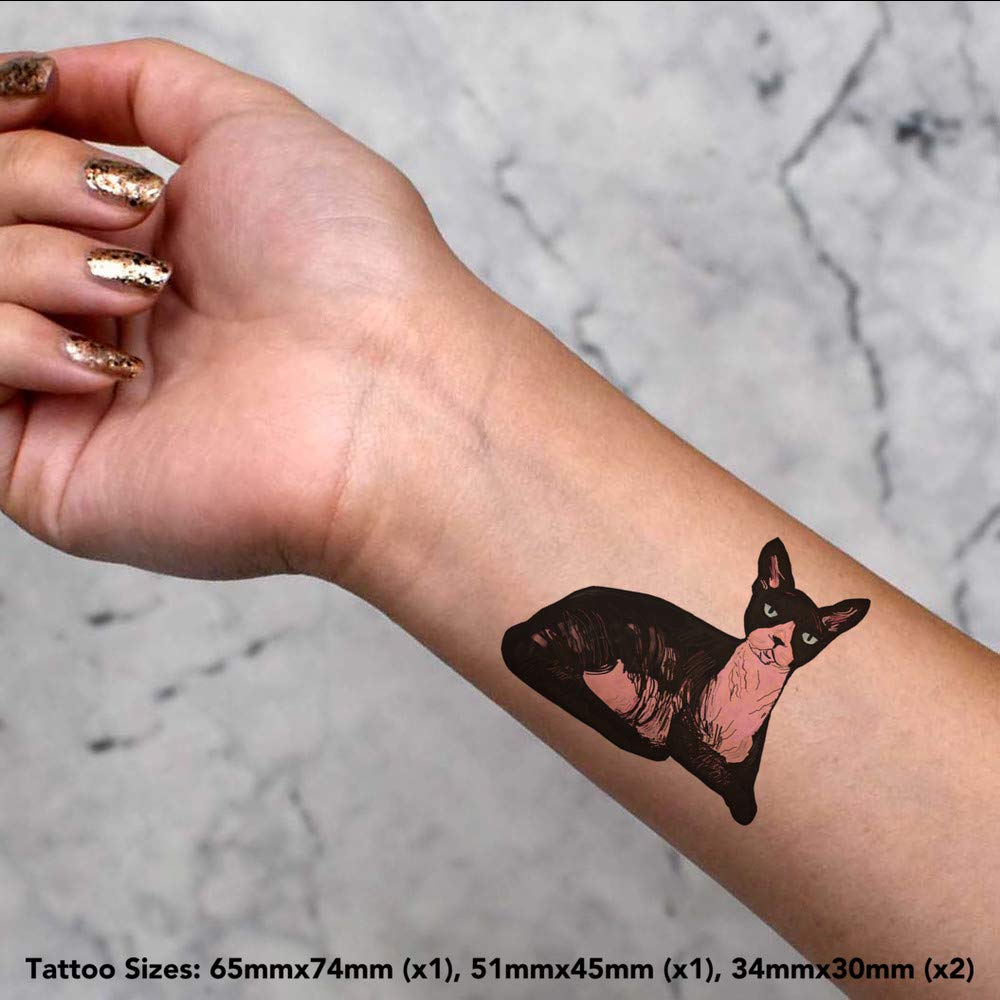 Azeeda 4 x 'Sphynx Cat' Temporary Tattoos - Water Resistant, Skin-Safe, Non-Toxic Transfers, Mixed Sizes (TO00015043)