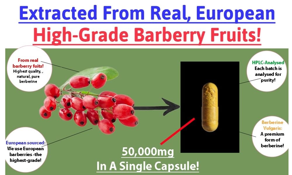 optimum-fx Berberine HCL 50,000 mg Pure Natural Extract - 500 mg at 100:1 – 120 High Strength Capsules