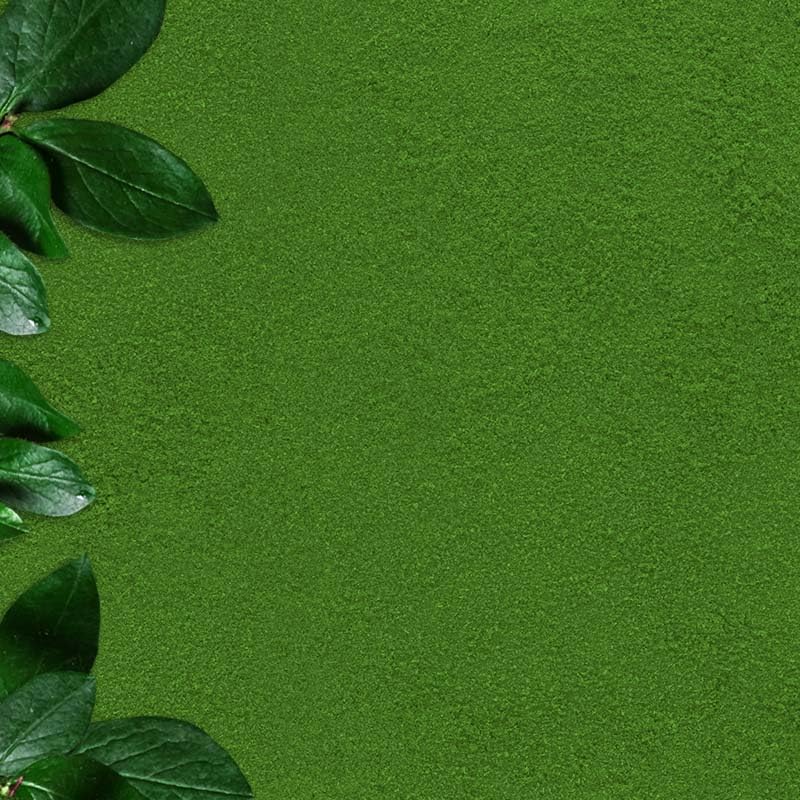 healthy future Freeze Dried Spinach Powder