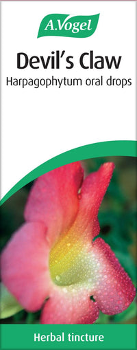 A.Vogel Devil's Claw Harpagophyum Drops (100ml)