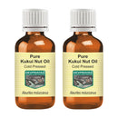 DEVPRAYAG Devprayag Pure Kukui Nut Oil (Aleurites moluccanus) Natural Therapeutic Grade Cold Pressed (Pack of Two) 100ml x 2 (6.76 oz)