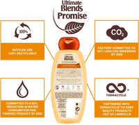 Garnier Ultimate Blends Honey Strengthening Shampoo 360ml